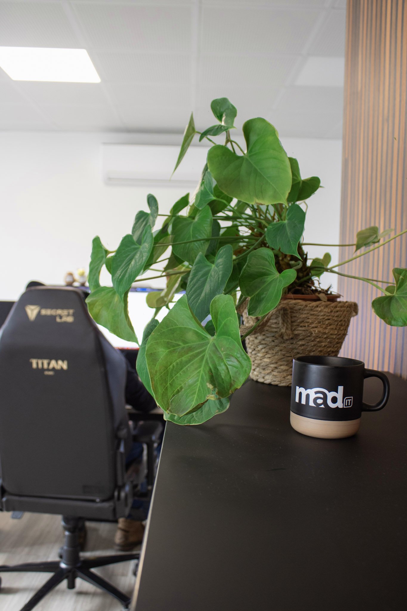 Werkplek bij Mad IT met ergonomische bureaustoel, groene kamerplant en Mad IT-mok - aangename en gezonde kantooromgeving voor IT-professionals.