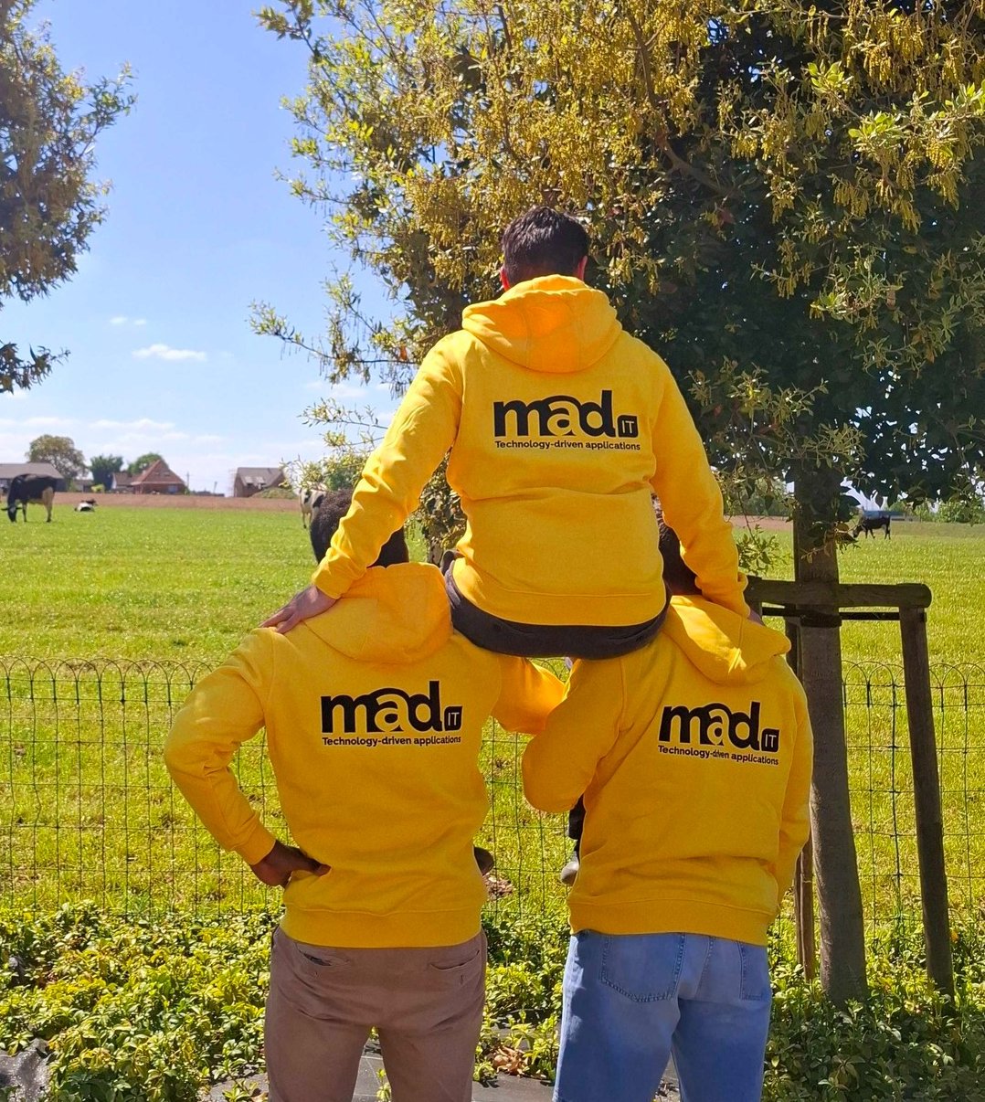 Teamleden van Mad IT in gele hoodies met bedrijfslogo, samen in een weiland, symbool voor samenwerking, teamspirit en technologiegedreven IT-oplossingen.